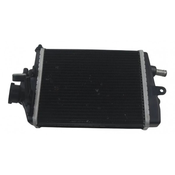 Radiador Direito C/ Detalhes Bmw R 1300 Gs 24-26 Original