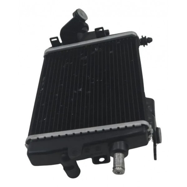 Radiador Direito C/ Detalhes Bmw R 1300 Gs 24-26 Original