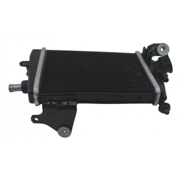 Radiador Direito C/ Detalhes Bmw R 1300 Gs 24-26 Original