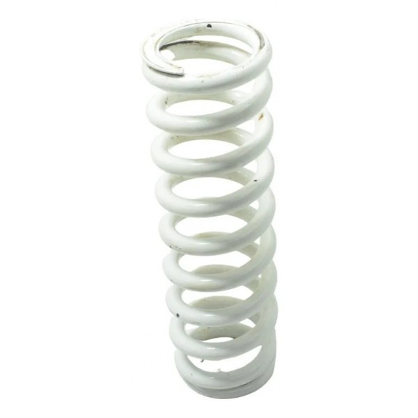 Mola Amortecedor Dianteiro Bmw R 1250 Gs 19-24 Original