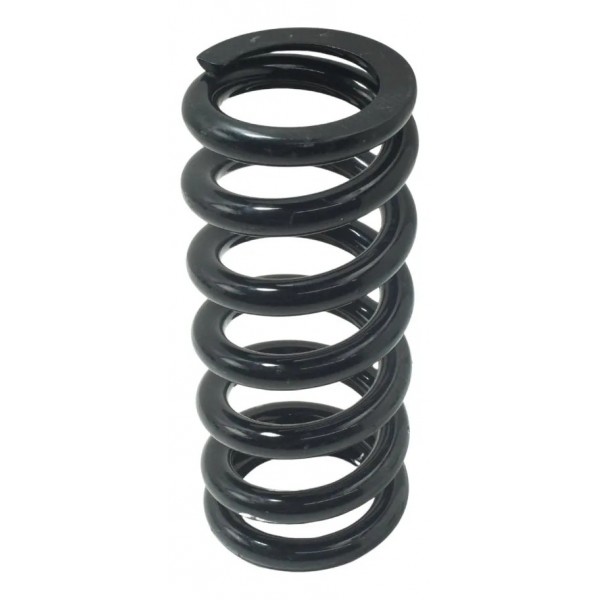 Mola Amortecedor Traseiro Bmw F 850 Gs Adv 19-24 Original