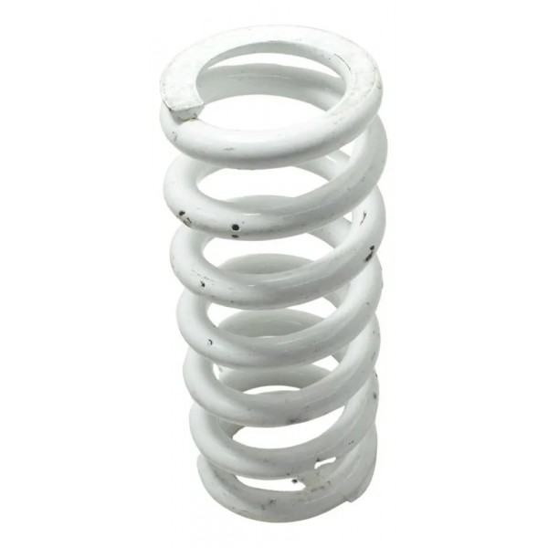 Mola Amortecedor Traseiro Bmw R 1250 Gs 19-24 Original