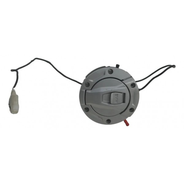 Tampa Tanque Bmw R 1300 Gs 24-26 Original Cinza