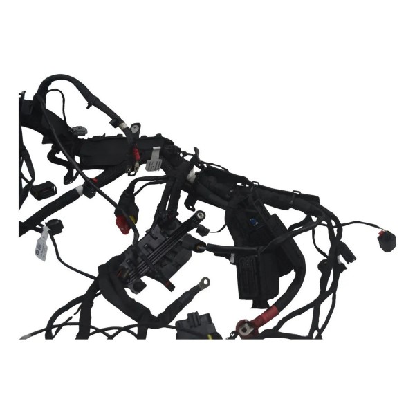 Chicote Principal Bmw R 1300 Gs Triple Black 24-26 Original