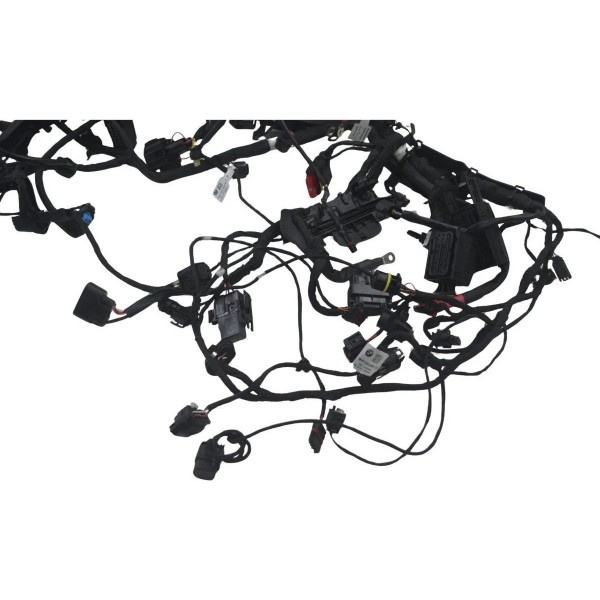 Chicote Principal Bmw R 1300 Gs Triple Black 24-26 Original