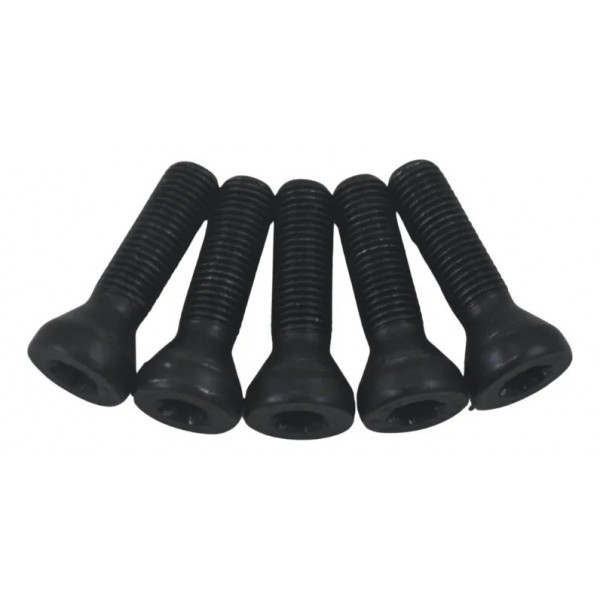 Kit Parafuso Roda Traseira Bmw R 1300 Gs Triple Black 24-26