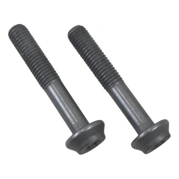 Par Parafuso Pinça Freio Diant Bmw R 1300 Gs Triple Black