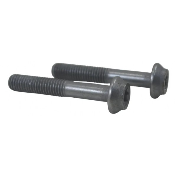 Par Parafuso Pinça Freio Diant Bmw R 1300 Gs Triple Black