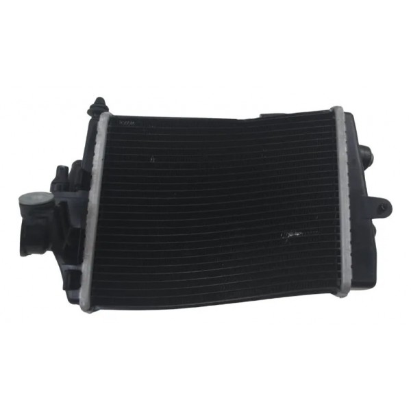 Radiador Dir C/avaria Bmw R 1300 Gs Triple Black 24-26 Origi