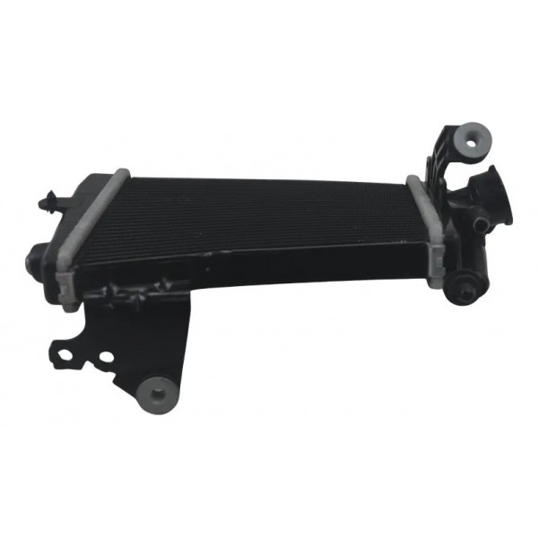 Radiador Dir C/avaria Bmw R 1300 Gs Triple Black 24-26 Origi