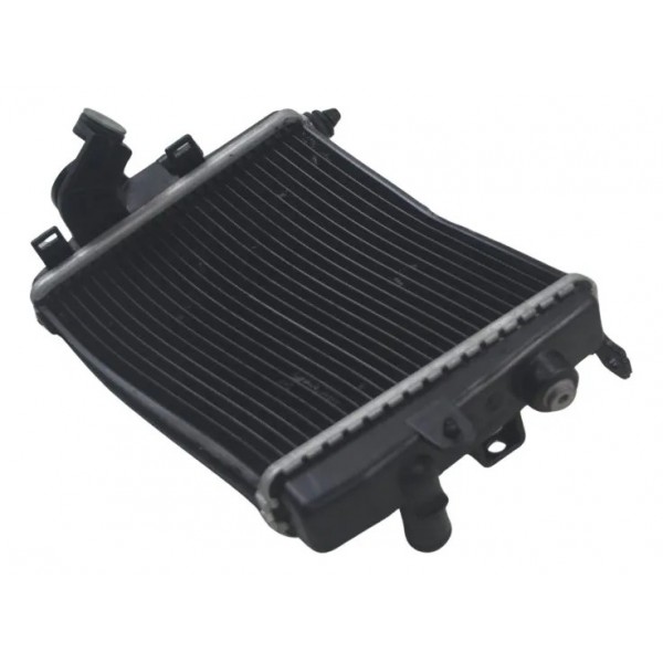 Radiador Dir C/avaria Bmw R 1300 Gs Triple Black 24-26 Origi