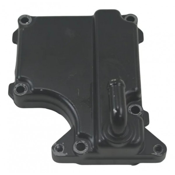 Tampa Respiro Motor Suzuki Gsx 650 F 09-15 Original