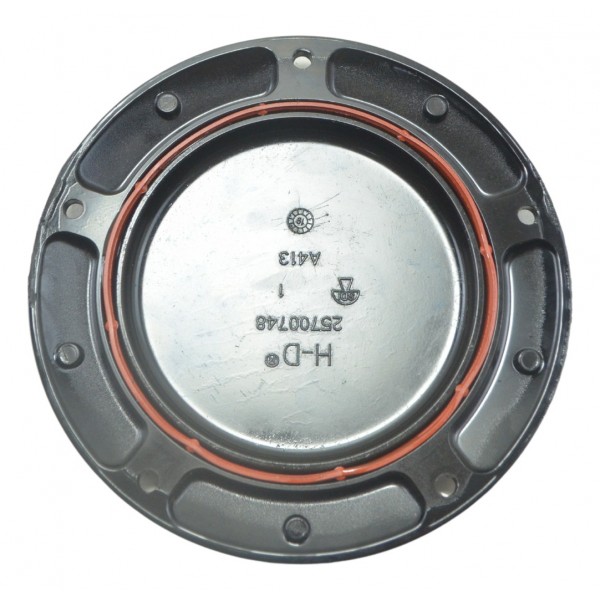 Tampa Inspeção Primaria Harley Street Glide Cvo 2020  Preto