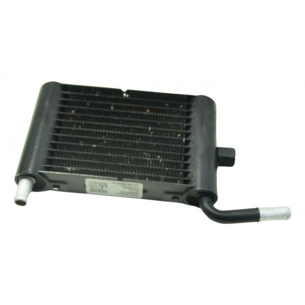 Radiador Água Esq Harley Electra Glide Touring 17-19 Orig