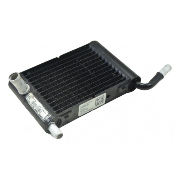 Radiador Água Dir Harley Electra Glide Touring 17-19 Orig