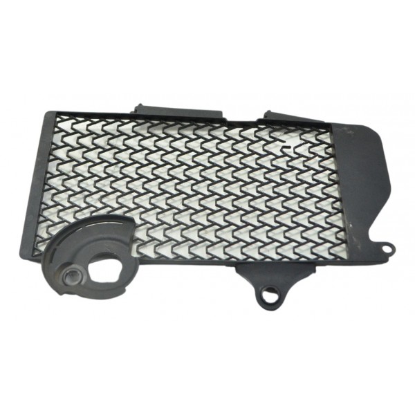 Grade Radiador Dir C/det Honda Crf 1100l África Twin 21-24 Preto