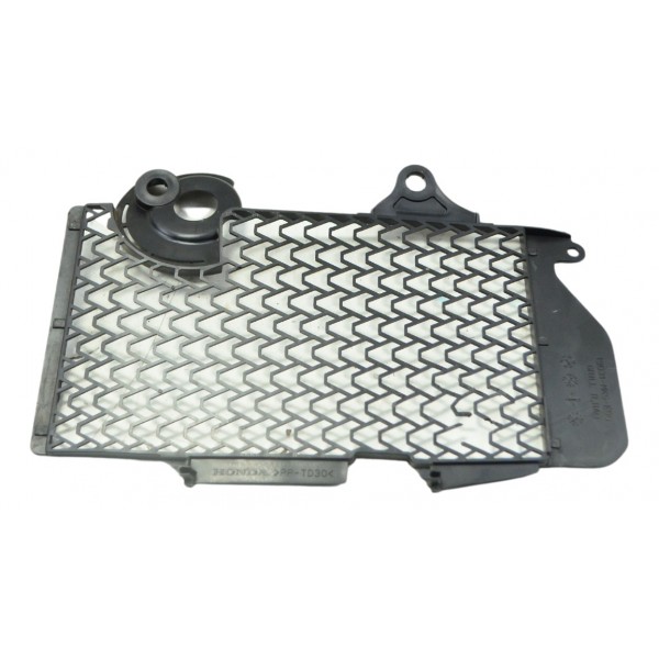 Grade Radiador Dir C/det Honda Crf 1100l África Twin 21-24 Preto