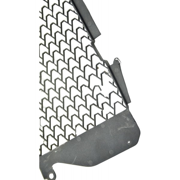 Grade Radiador Dir C/det Honda Crf 1100l África Twin 21-24 Preto