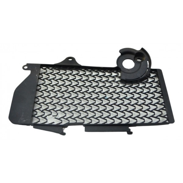 Grade Radiador Dir C/det Honda Crf 1100l África Twin 21-24 Preto