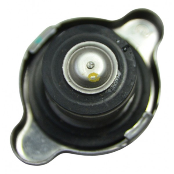 Tampa Radiador Bmw R1250 R 1250 Adv 19-24 Original