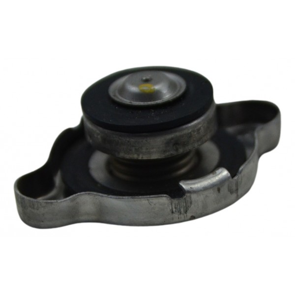 Tampa Radiador Bmw R1250 R 1250 Adv 19-24 Original