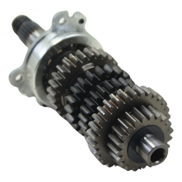 Eixo Primário Completo Triumph Tiger 900 Rally Pro 20-24