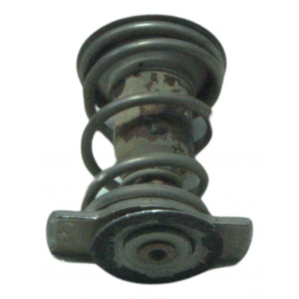 Válvula Termostática Harley Night Rod 12-16 Original