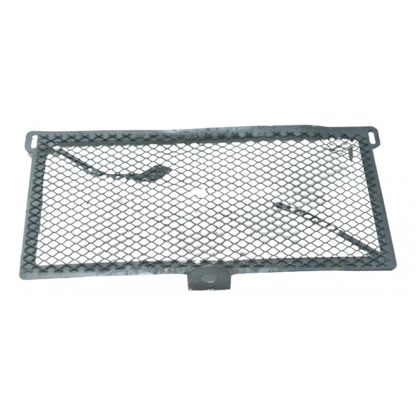 Grade Radiador Óleo Bmw S 1000r 18-20 Original Preto