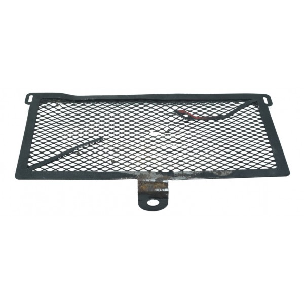 Grade Radiador Óleo Bmw S 1000r 18-20 Original Preto