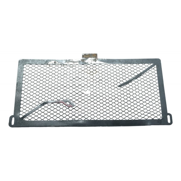 Grade Radiador Óleo Bmw S 1000r 18-20 Original Preto