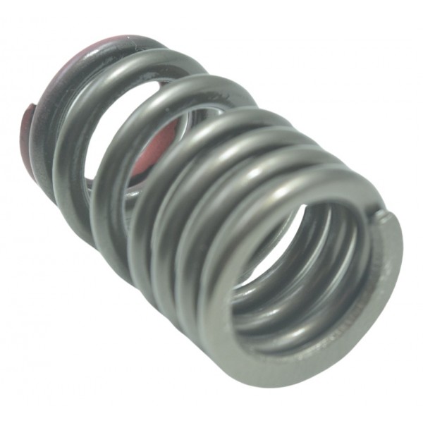 Mola Escape Bmw S 1000r 18-20 Original