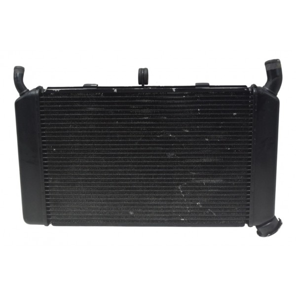 Radiador Yamaha Xj6 N 10-12 Original