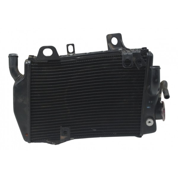 Radiador Direito C/ Avaria Triumph Tiger 900 Rally Pro 20-24
