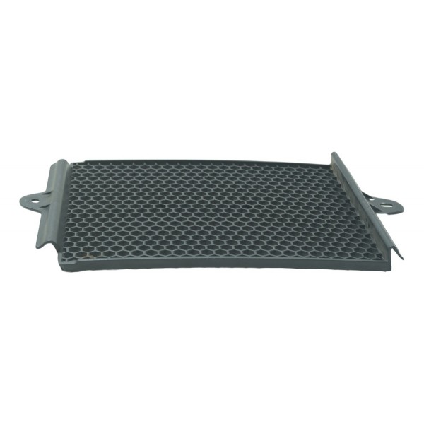 Grade Proteção Radiador Triumph Tiger 900 Rally Pro 20-24 Preto