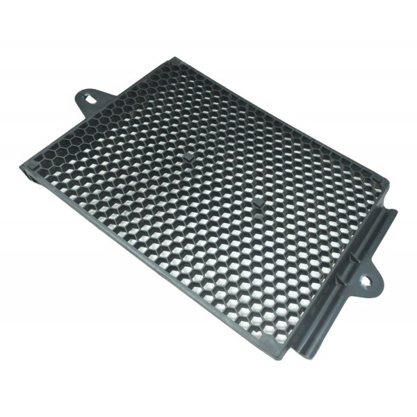 Grade Proteção Radiador Triumph Tiger 900 Rally Pro 20-24 Preto