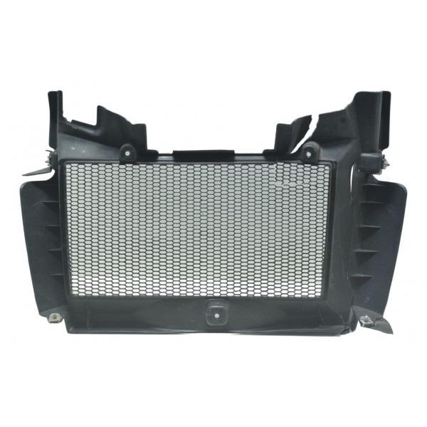 Grade Proteção Radiador Avaria Bmw F 800 Gs Adv 13-16 Orig Preto