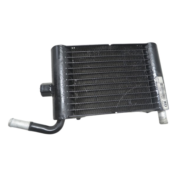 Radiador Esquerdo Harley Touring Electra Glide 14-17 Orig