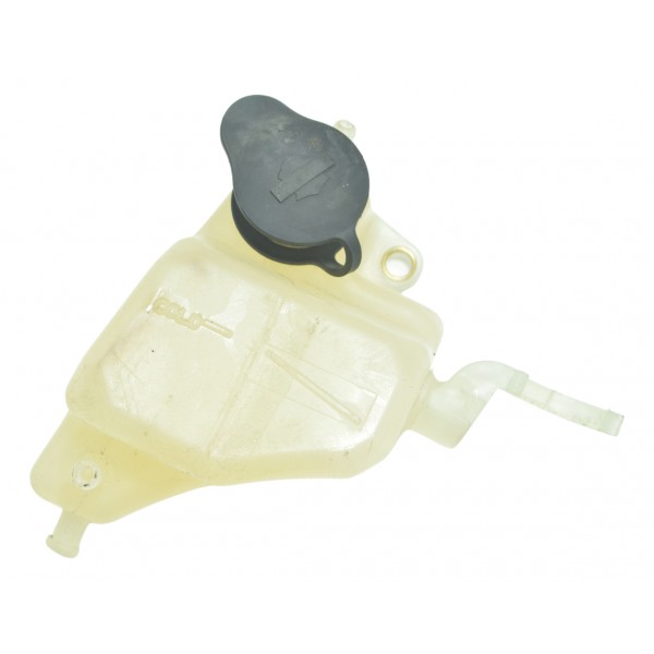 Reservatório Água Harley Electra Limited Touring 19-23 Orig