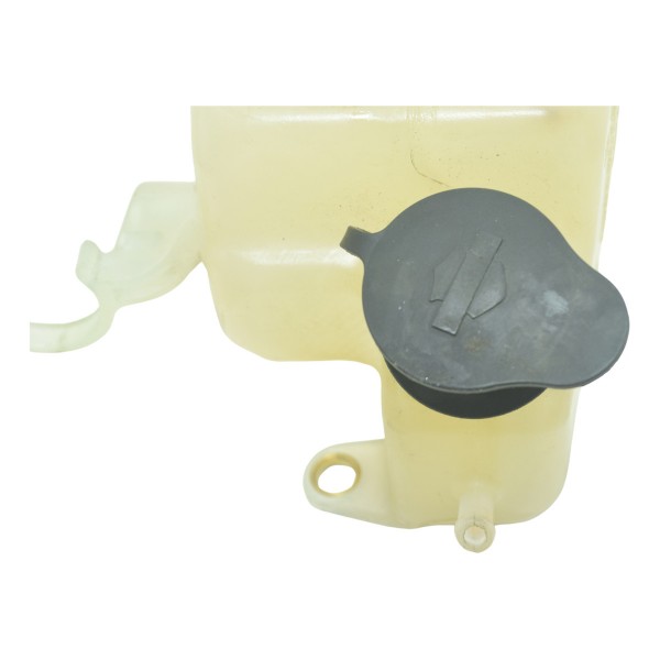 Reservatório Água Harley Electra Limited Touring 19-23 Orig