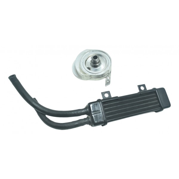 Radiador Óleo Harley 883 R Sportster 08-09 Original