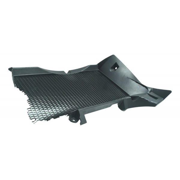 Grade Proteção Radiador C/avaria Bmw F 800 Gs 13-16 Original Preto