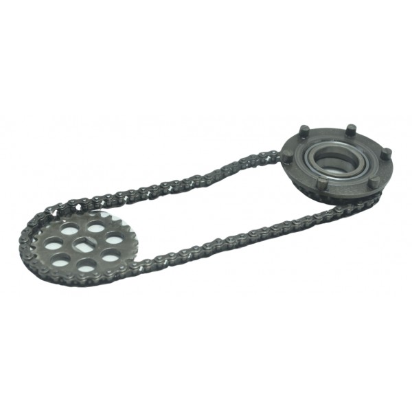 Engrenagem Corrente Bomba Óleo Triumph Tiger 800 13-14 Orig