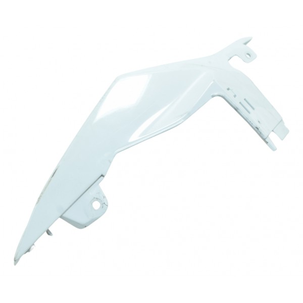 Rabeta Esquerda C/ Detalhes Bmw S 1000 Rr 15-19 Original