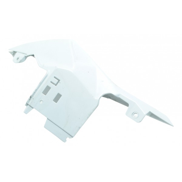 Rabeta Esquerda C/ Detalhes Bmw S 1000 Rr 15-19 Original