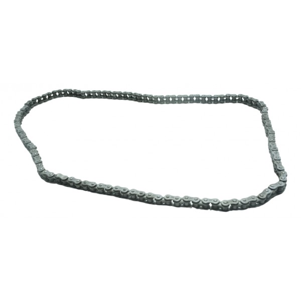 Corrente Transmissão C/ Dentes Bmw S 1000 Rr 15-19 Original Prateado