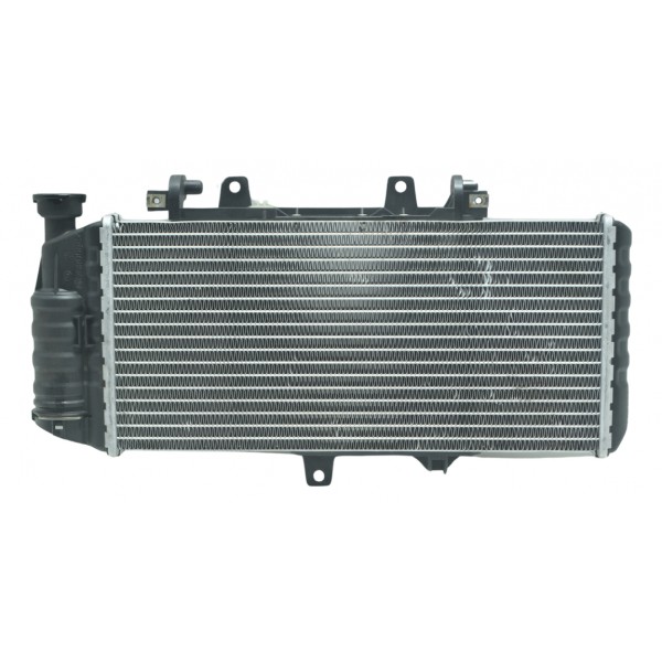 Radiador Bmw F 800 Gs Adv 13-16 Original