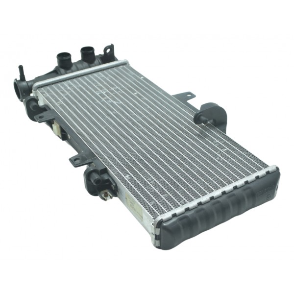 Radiador Bmw F 800 Gs Adv 13-16 Original