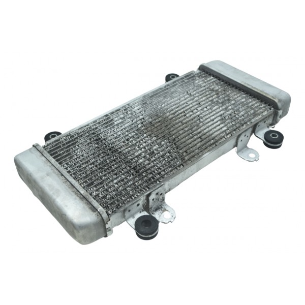 Radiador Água Kawasaki Ninja 300 13-18 Original