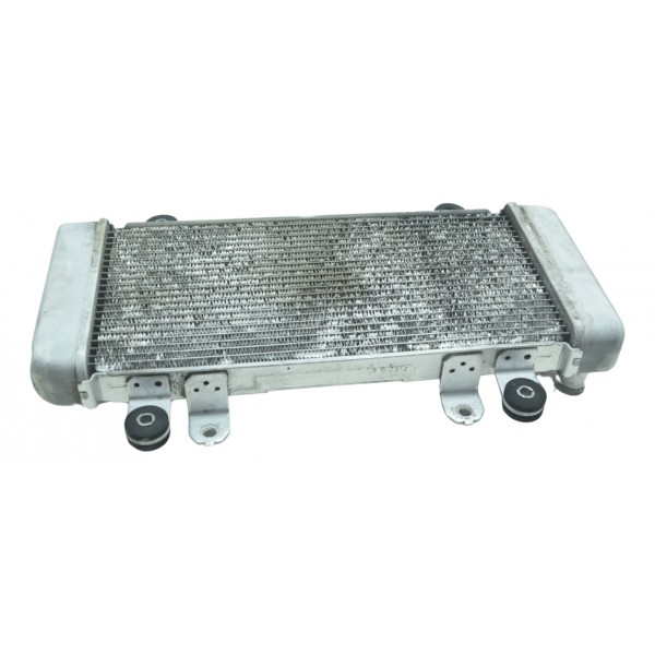 Radiador Água Kawasaki Ninja 300 13-18 Original