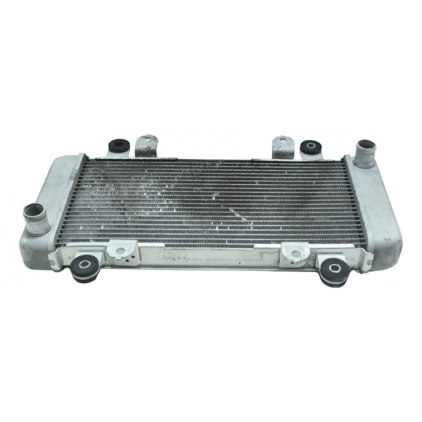Radiador Água Kawasaki Ninja 300 13-18 Original